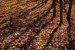 Click to see Y-JG-XF-50MM-F1-0118-MOD.JPG