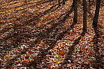 Click to see Y-JG-XF-50MM-F1-0118.JPG