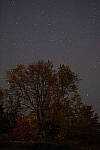Click to see Y-JG-XF-50MM-F1-0165-MOD.JPG