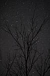 Click to see Y-JG-XF-50MM-F1-0203.JPG