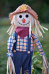 Click to see Y-JG-XF-50MM-F1-9661.JPG
