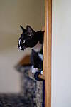 Click to see Y-JG-XF-50MM-F1-9702.JPG