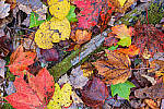 Click to see Y-JG-XF-50MM-F1-9806-MOD.JPG