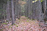Click to see Y-JG-XF-50MM-F1-9833.JPG