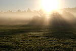 Click to see Y-JG-XF-50MM-F1-9848.JPG
