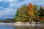 Click to see Y-JG-XF-50MM-F1-9902-MOD.JPG