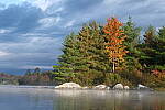 Click to see Y-JG-XF-50MM-F1-9902.JPG