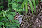 Click to see Y-WB-DSCF0354.JPG