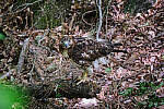 Click to see Y-WB-DSCF0465-XT4-100_400-400mm_Test.jpg