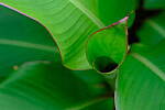 Click to see Y-WB-DSCF0840.JPG