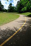 Click to see Y-WB-DSCF0862.JPG