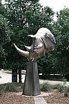 Click to see Y-WB-DSCF0932.JPG