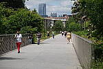 Click to see Y-WB-DSCF0971-Provia.JPG