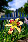 Click to see Y-WB-XF18MM-DSCF9254.JPG