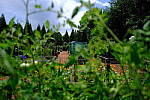 Click to see Y-WB-XF18MM-DSCF9258.JPG