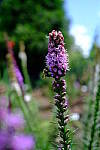 Click to see Y-WB-XF18MM-DSCF9285.JPG