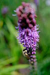 Click to see Y-WB-XF18MM-DSCF9290.JPG