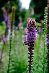 Click to see Y-WB-XF18MM-DSCF9293.JPG
