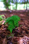 Click to see Y-WB-XF18MM-DSCF9338.JPG