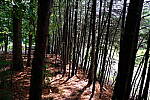 Click to see Y-WB-XF18MM-DSCF9341.JPG