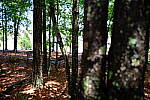 Click to see Y-WB-XF18MM-DSCF9342.JPG