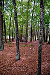 Click to see Y-WB-XF18MM-DSCF9344.JPG