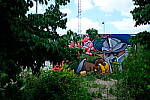 Click to see Y-WB-XF18MM-DSCF9452.JPG