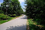 Click to see Y-WB-XF18MM-DSCF9456.JPG