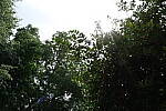 Click to see Y-WB-XF18MM-DSCF9504.JPG