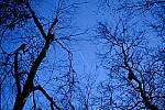Click to see Y-WB-XF33-DSCF0083.JPG