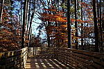 Click to see Y-WB-XF33-DSCF0104.JPG