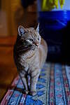 Click to see Y-WB-XF33-DSCF0110.JPG