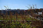Click to see Y-WB-XF33-DSCF0166.JPG