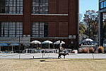 Click to see Y-WB-XF33-DSCF0215.JPG
