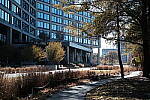 Click to see Y-WB-XF33-DSCF0218.JPG