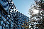 Click to see Y-WB-XF33-DSCF0225.JPG