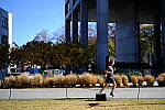 Click to see Y-WB-XF33-DSCF0231.JPG