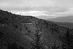 Click to see Y-WB-XF33-DSCF0314.JPG