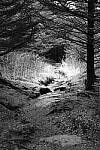 Click to see Y-WB-XF33-DSCF0379.JPG