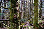 Click to see Y-WB-XF33-DSCF0418.JPG