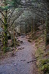 Click to see Y-WB-XF33-DSCF0420.JPG