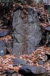 Click to see Y-WB-XF33-DSCF0468.JPG