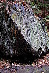 Click to see Y-WB-XF33-DSCF0469.JPG