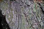 Click to see Y-WB-XF33-DSCF0471.JPG