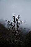 Click to see Y-WB-XF33-DSCF0493.JPG