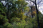 Click to see Y-WB-XF33-DSCF9644-f1.4.JPG