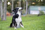 Click to see Y-X-T4-XF-50MM-F1-JG-0878-BETA-MOD.JPG