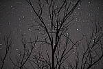 Click to see Y-X-T4-XF-50MM-F1-JG-0975-BETA.JPG