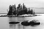 Click to see Y-JG-FUJI-X-T5-1621.JPG