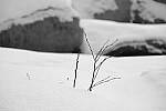 Click to see Y-JG-FUJI-X-T5-1626.JPG